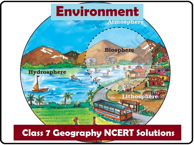 NMMS Revision Notes | Class 7 Social | Environment